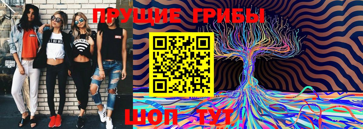 Галлюциногенные грибы Psilocybe Сунжа