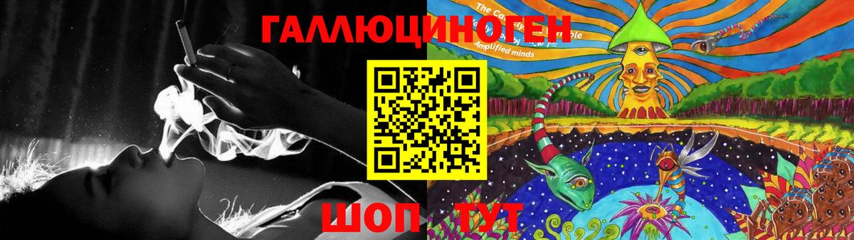 Сунжа  Псилоцибиновые грибы мицелий  Вход с VPN 